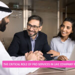 pro service dubai